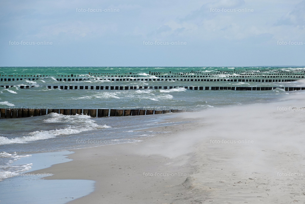 North Beach, Darß | foto-focus-online