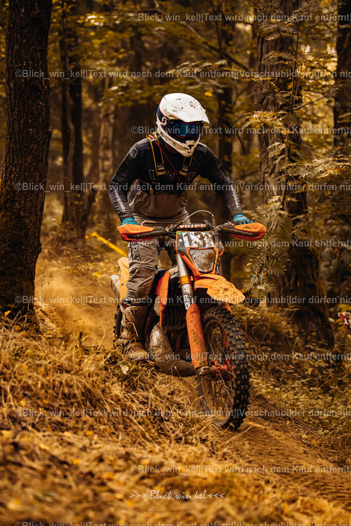 E68A4033 | blick_win_kel