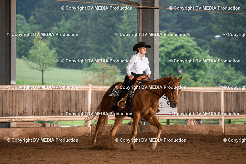 Erbach Tag 4-182 | dv-media-shop - Realisiert mit Pictrs.com