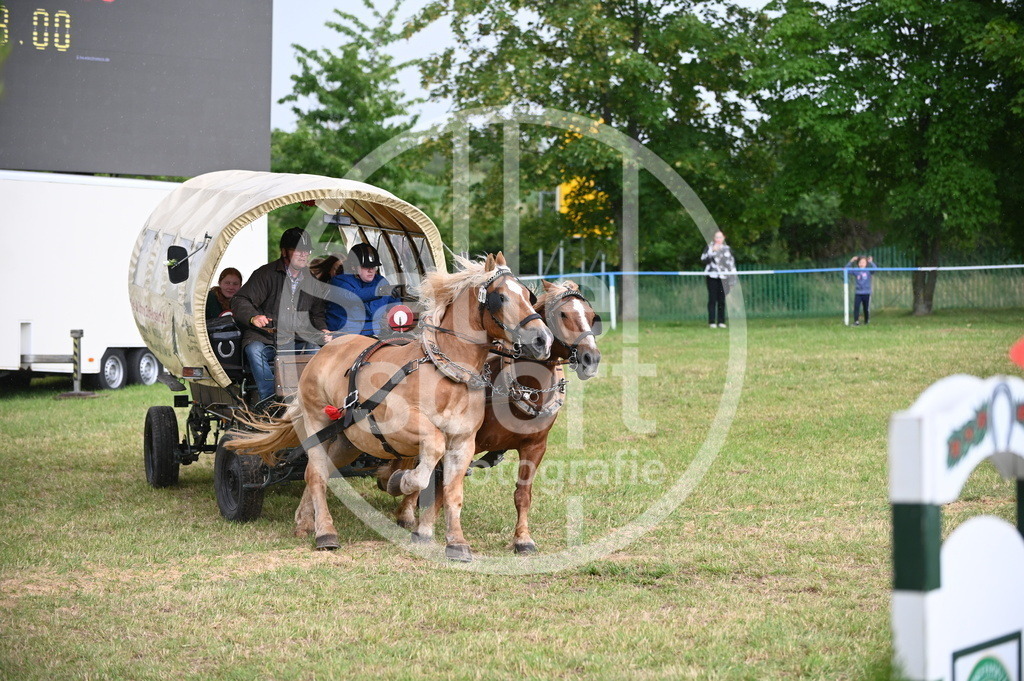 DSC_8723 | sattelsport - Realisiert mit Pictrs.com