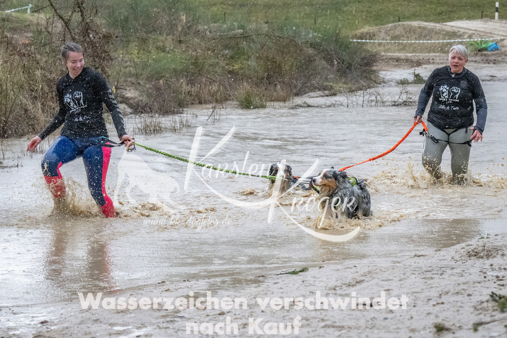 1538_ZZ90535-Bearbeitet | kk-dogfotos