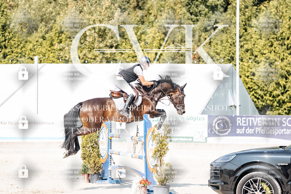CK901357 | Turnierfotografie Pferdefotografie Trier Rheinland-Pfalz Pferdesport Reitsport Tierfotografie Sportfotografie Pferdevideo Pferdevideografie Equestrianvideography equestrianphotography  - Realisiert mit Pictrs.com