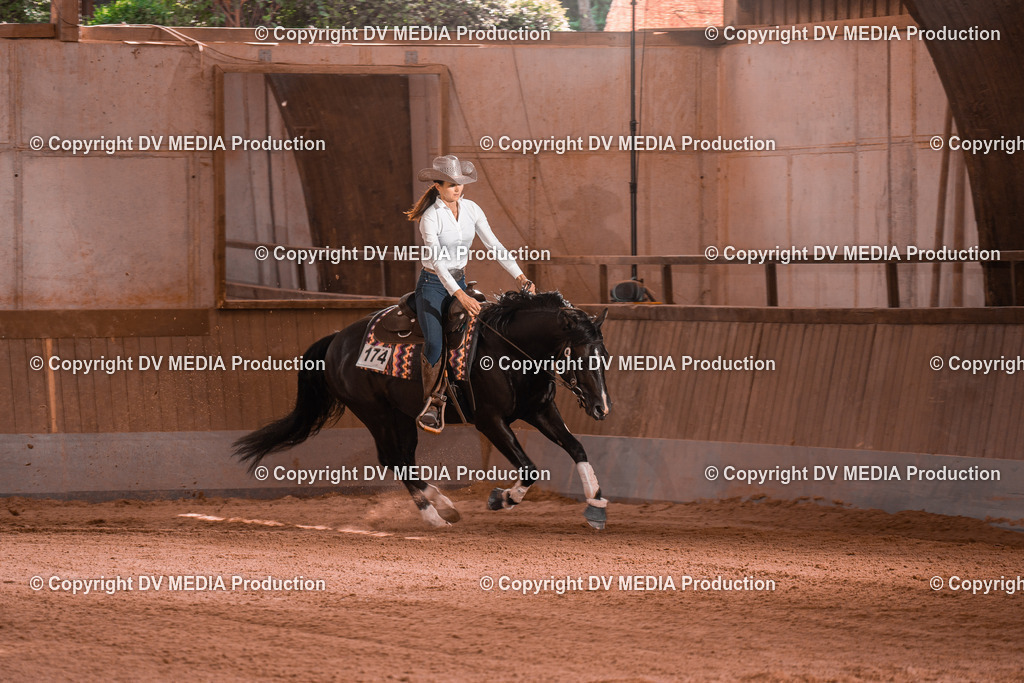 NE201227 | dv-media-shop - Realisiert mit Pictrs.com