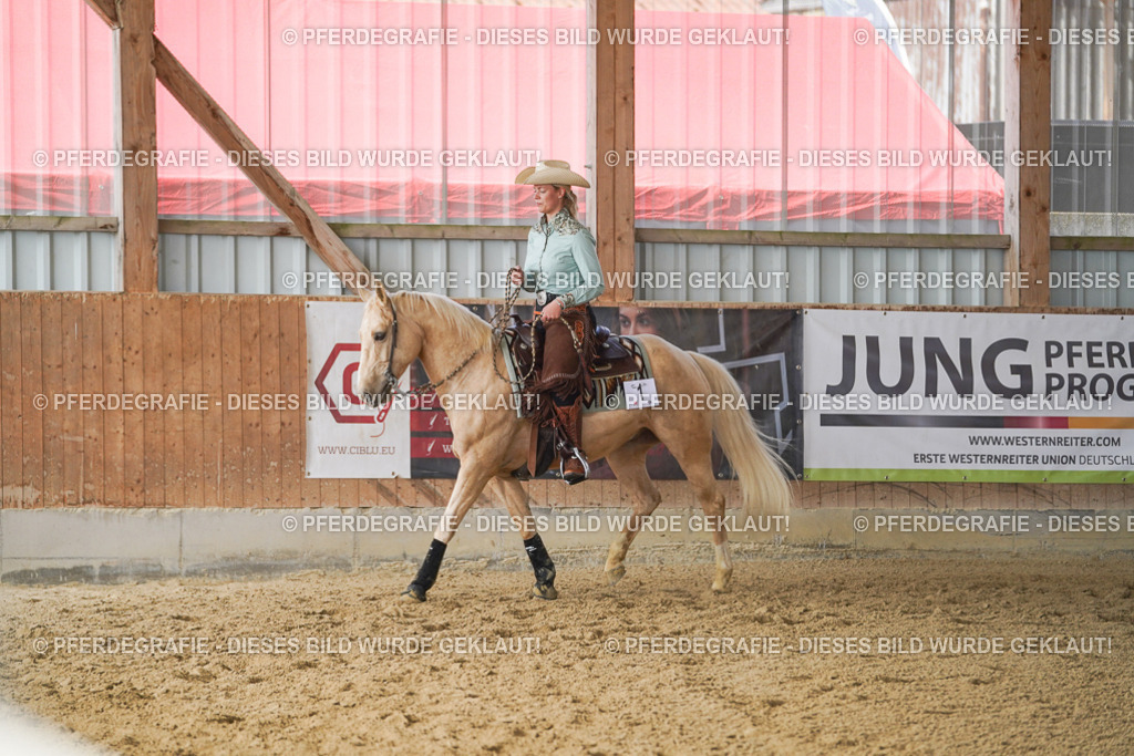 DSC01174 | Pferdegrafie