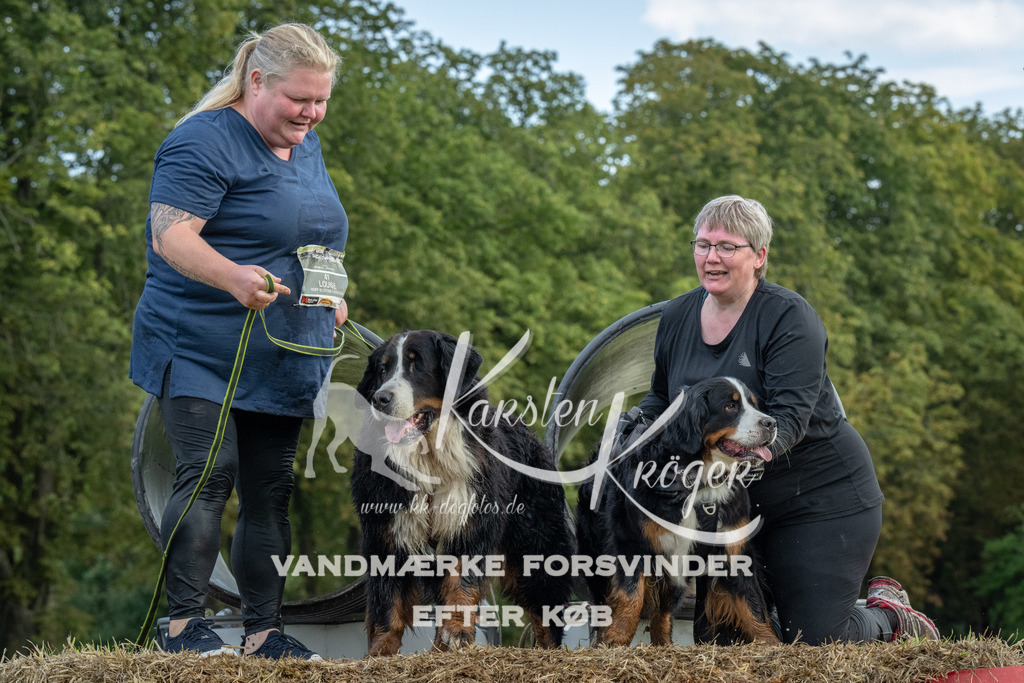 1100_ZZ93607 | kk-dogfotos