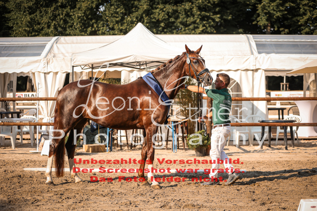 DoER00047 | Leoni Ertmer Photography - Realisiert mit Pictrs.com