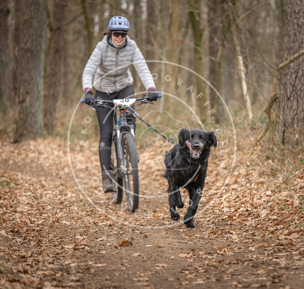 Pfotenfotografie_DV3A0258 | Hundefotografie, Tierfotograf, Pfotenfotografie, Fotoshooting Hund, Hunde Portrait, Hundesport, Hundeportraits, Heideshooting, Hunde, Sportfotograf, Hundefotograf, Turnierhundsport, THS,  - Realisiert mit Pictrs.com