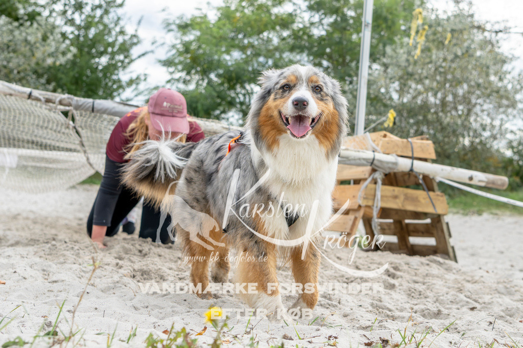 1533_ZZ95691 | kk-dogfotos