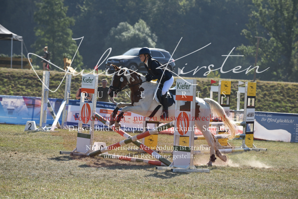 DSC_6037 | Pferde- und Turnierfotografie in Westsachsen. Pferdeportraits, Auftragszeichnungen und intuitive Kunst.