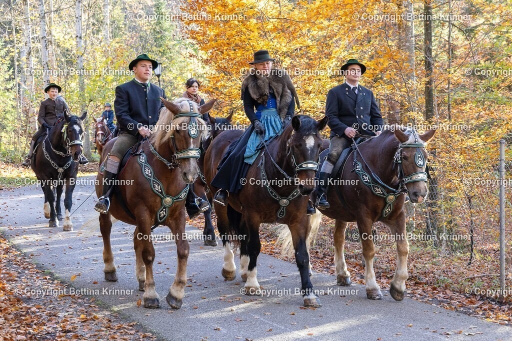 LL24-333 | foto-bettina-krinner - Realisiert mit Pictrs.com