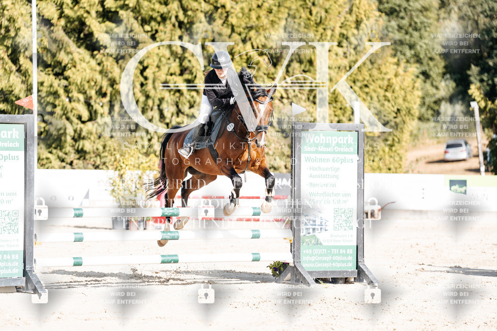 CK909218 | Turnierfotografie Pferdefotografie Trier Rheinland-Pfalz Pferdesport Reitsport Tierfotografie Sportfotografie Pferdevideo Pferdevideografie Equestrianvideography equestrianphotography  - Realisiert mit Pictrs.com