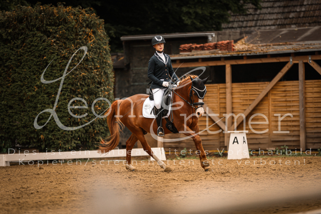 DoDrE00202 | Leoni Ertmer Photography - Realisiert mit Pictrs.com