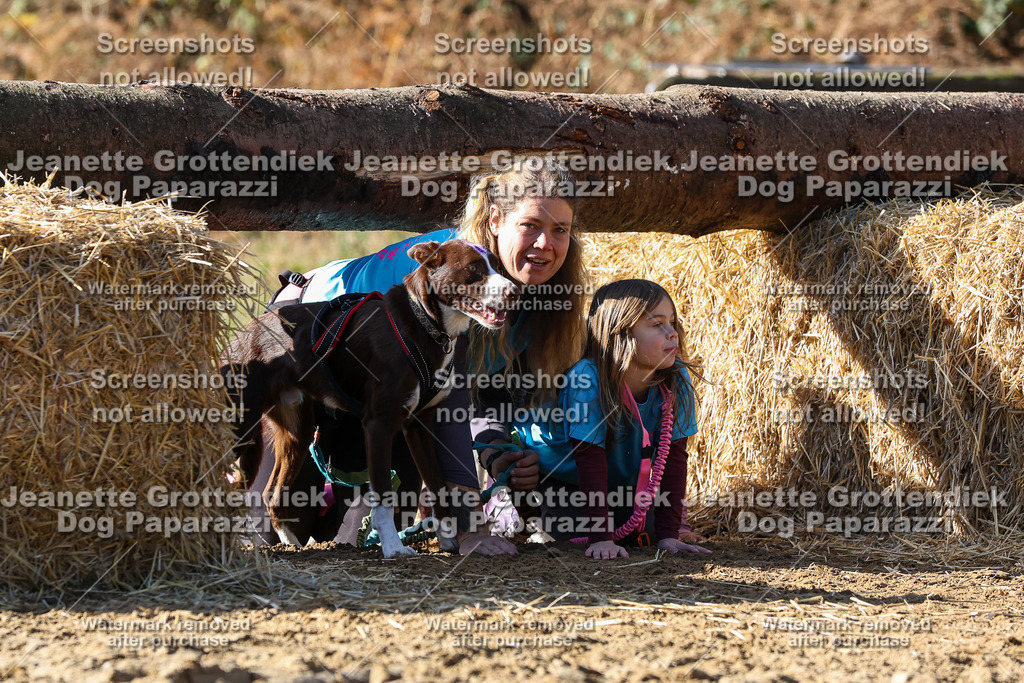 Dog Paparazzi - Strongdog 10-25-2945 | Dog Paparazzi Jeanette Grottendiek Fotografie & Videografie - Realisiert mit Pictrs.com