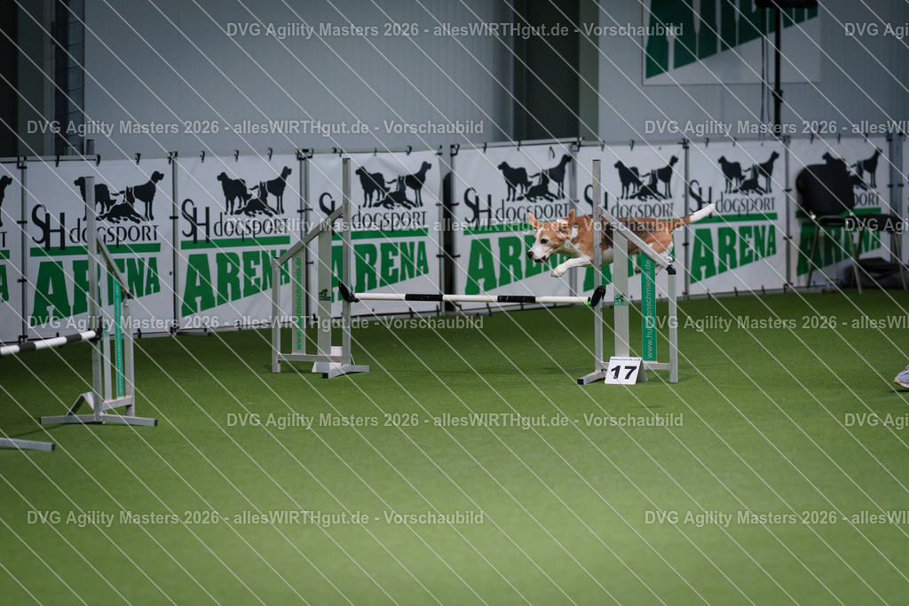 allesWIRTHgut_Tierfotografie-DVG_Agility_Masters_2026-09_19-7R509109 | Professionelle Tierfotografie in Mönchengladbach von Daniel Wirth (allesWIRTHgut). Liebevolle & natürliche Bilder von Hunden & Katzen für unvergessliche Erinnerungen.