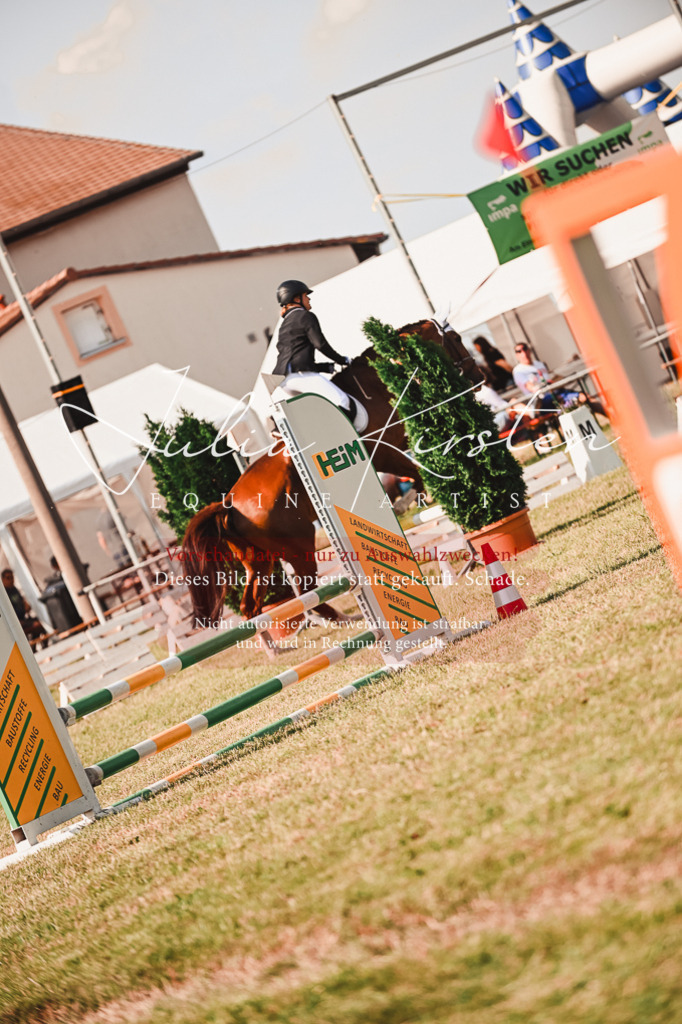 DSC_7340 | Pferde- und Turnierfotografie in Westsachsen. Pferdeportraits, Auftragszeichnungen und intuitive Kunst.