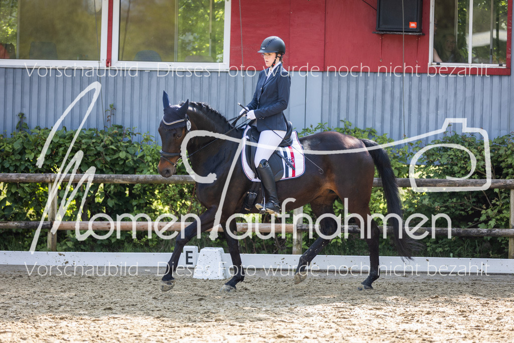 Donop24-A2-Dre-052 | MomenTaufnahmen Pferdesportfotos