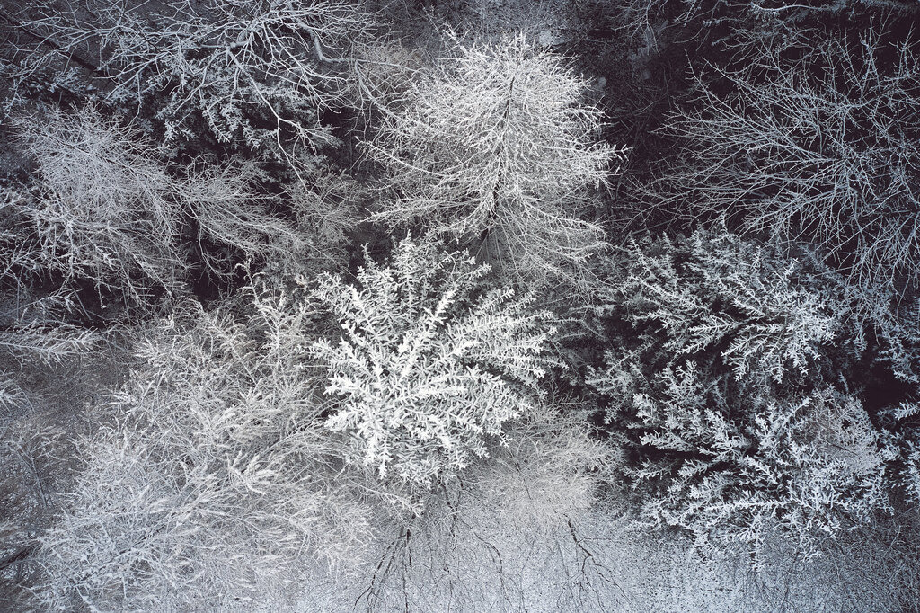 CS-201210-0106-3 | Luftaufnahmen bei Frost