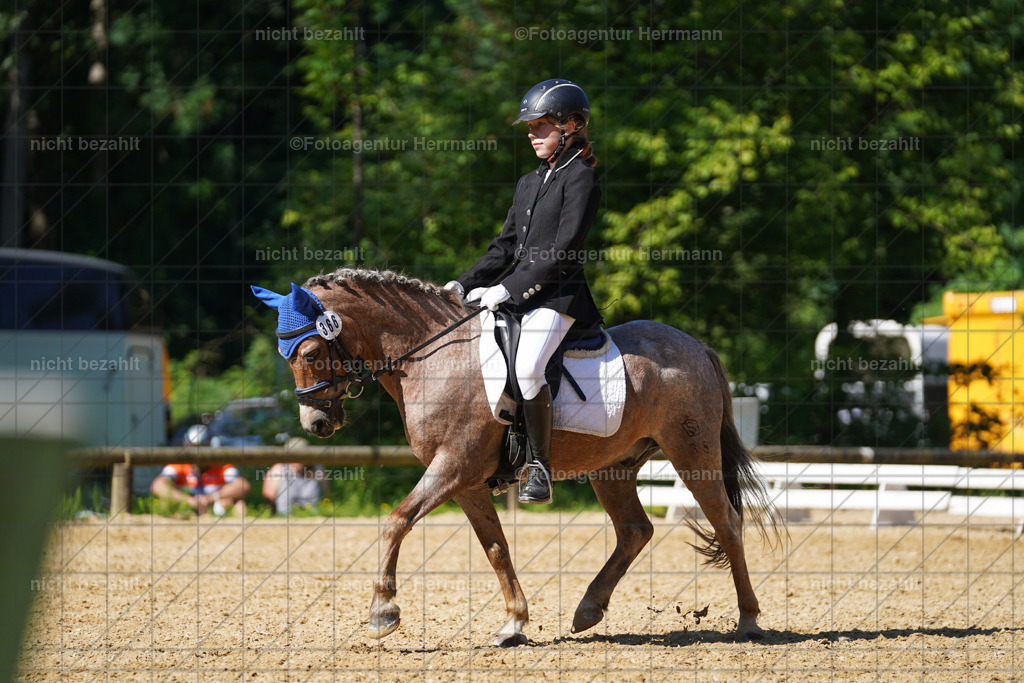 20240706-FAH04767 | Grafing Turnierfotos, Reitverein Ebersberg, Turnierfotografen Bayern, reitsportbilder, Pferdefotograf, reitsportfotograf, Sportbilder, Reitsportfotografie, Fotoagentur Herrmann, Turnierfotograf