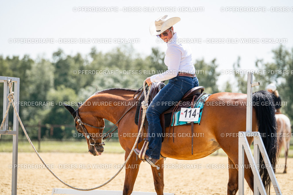 DSC00503 | Pferdegrafie