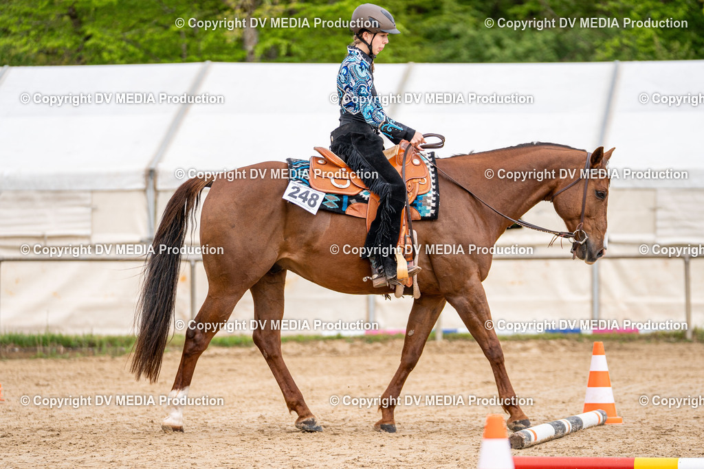 Heiligenwald Tag 1-867 | dv-media-shop - Realisiert mit Pictrs.com