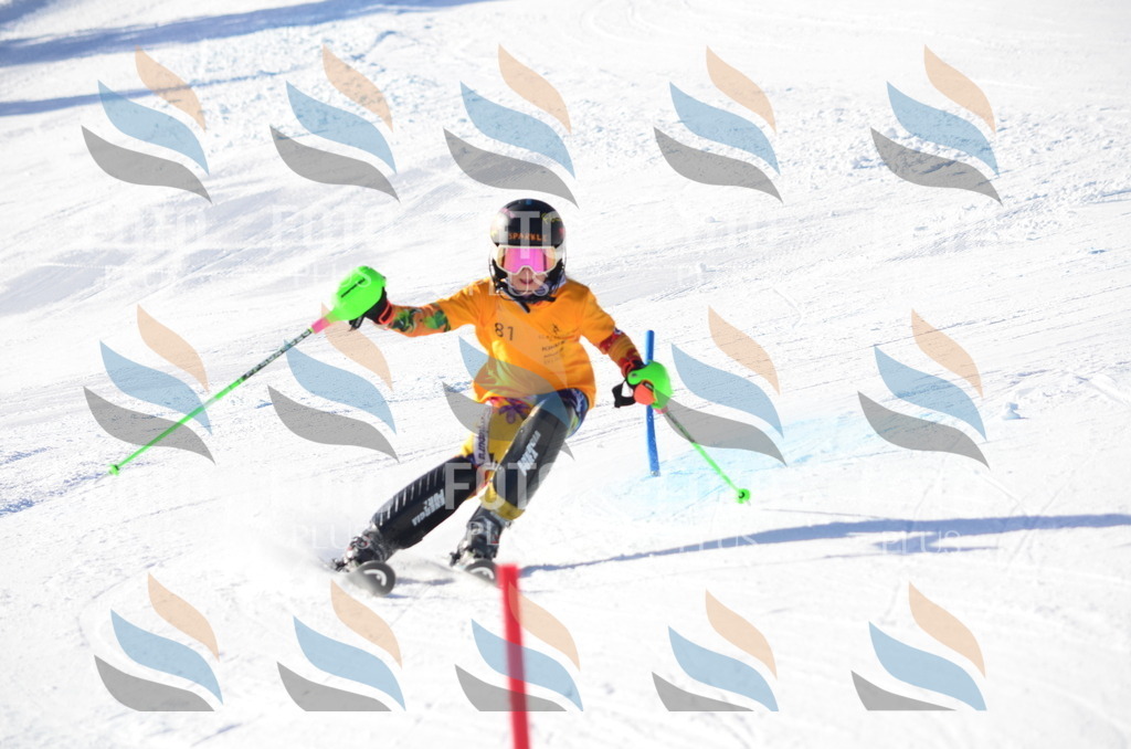 C5981 | holidayphoto