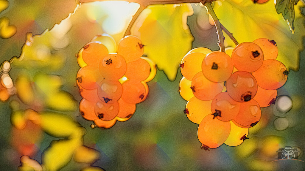 Gold-Johannisbeere - 4k - DigiART | Entdecken Sie eine vielfältige Auswahl individueller Fotos zum Kauf auf picturalux.de. Finden Sie hochwertige Bilder für Ihre Projekte, die Ihre Botschaft perfekt unterstreichen. Stöbern Sie jetzt und verleihen Sie Ihren Inhalten das gewisse Etwas! - Realisiert mit Pictrs.com