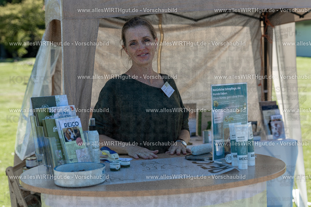 Hundeschwimmen_Volksbad_2026-allesWIRTHgut_Tierfotografie-2609061044-095441-7R509158 | Professionelle Tierfotografie in Mönchengladbach von Daniel Wirth (allesWIRTHgut). Liebevolle & natürliche Bilder von Hunden & Katzen für unvergessliche Erinnerungen.