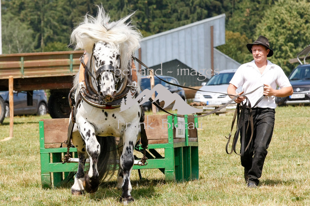 15082015-fb-6274 | Leistungsziehen in Poschetsried 2015
