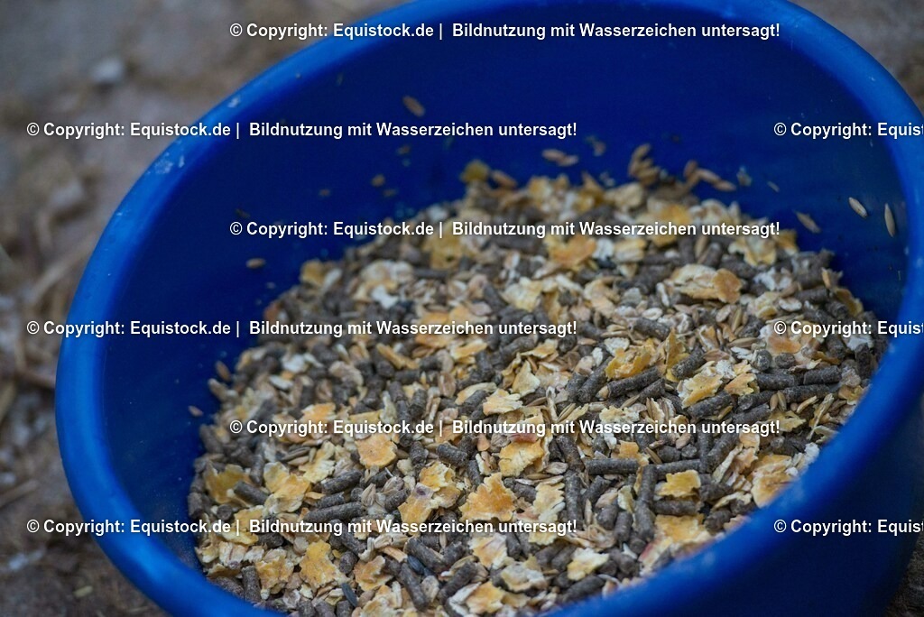 20170118_M__sli_0002 | Foto: Thomas Hartig