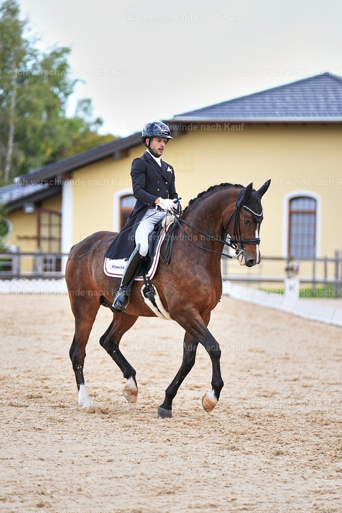 10-207-ST.GEORG SPECIAL -Marixx-3395 | working equitationturnier fotograf videograf stoibphotography marixx film working equitation deutschland reitsport turnierfotografie eventfotografie equestrian events