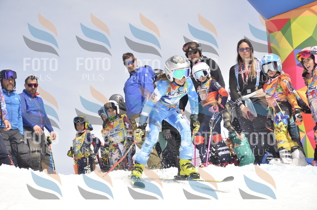 _ELE8494 | holidayphoto