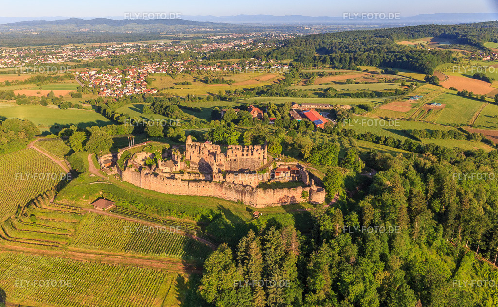Festungsruine Hochburg bei Emmendingen aus Osten  https://www.hochburg-emmendingen.de/ | Luftbild: Festungsruine Hochburg bei Emmendingen aus Osten  https://www.hochburg-emmendingen.de/ im Ortsteil Windenreute in Emmendingen im Bundesland Baden-Württemberg in Deutschland. Foto: IMG_147553.jpg vom 30.05.2025 durch Werner Riehm/FLY-FOTO.de - Realisiert mit Pictrs.com