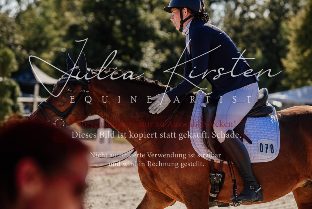 DSC_0287 | Pferde- und Turnierfotografie in Westsachsen. Pferdeportraits, Auftragszeichnungen und intuitive Kunst.