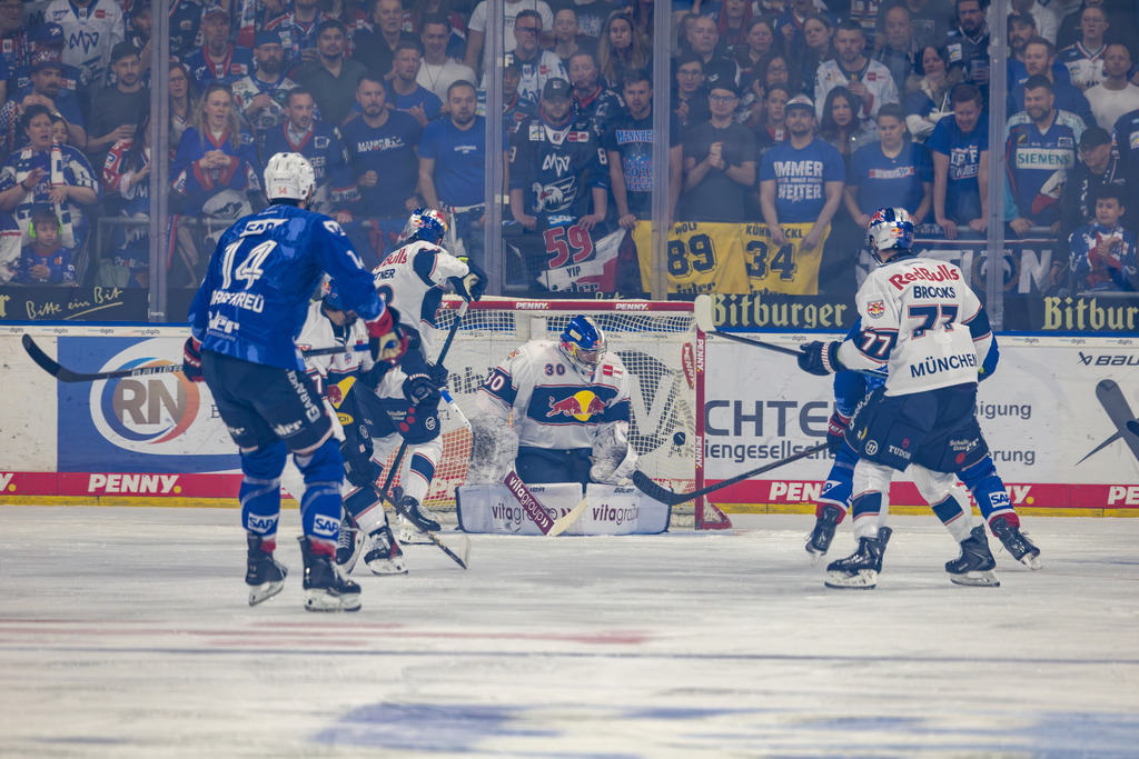 DEL, Deutsche Eishockey Liga Saison 2025/26, Playoff-Halbfinale, Spiel 1: Adler Mannheim gegen Red Bull München | DEL, Deutsche Eishockey Liga Saison 2025/26, Playoff-Halbfinale, Spiel 1: Adler Mannheim gegen Red Bull München***John Gilmour (rechts verdeckt) erzielt das 1:0 für die Adler - Realisiert mit Pictrs.com