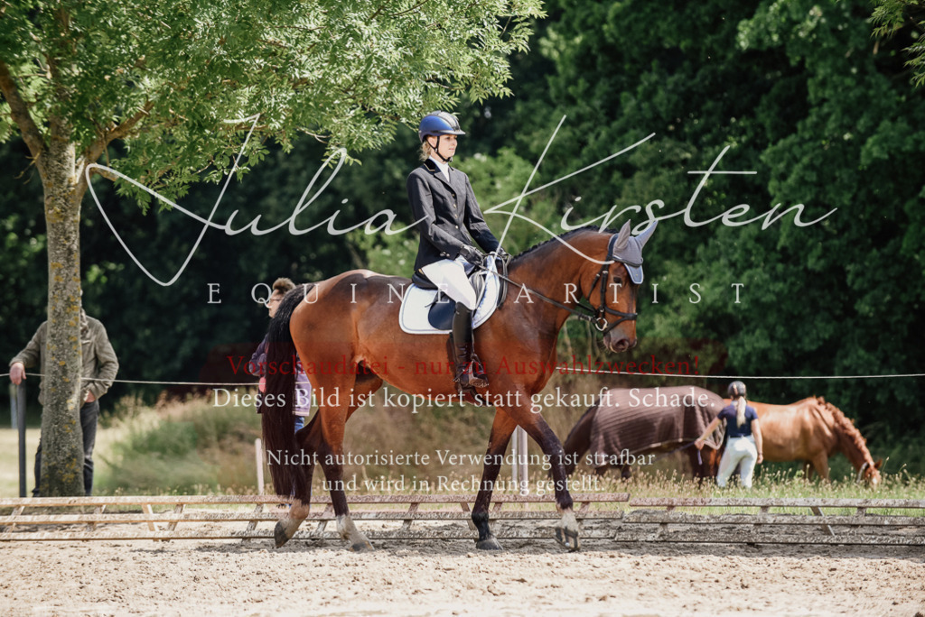DSC_1127 | Pferde- und Turnierfotografie in Westsachsen. Pferdeportraits, Auftragszeichnungen und intuitive Kunst.