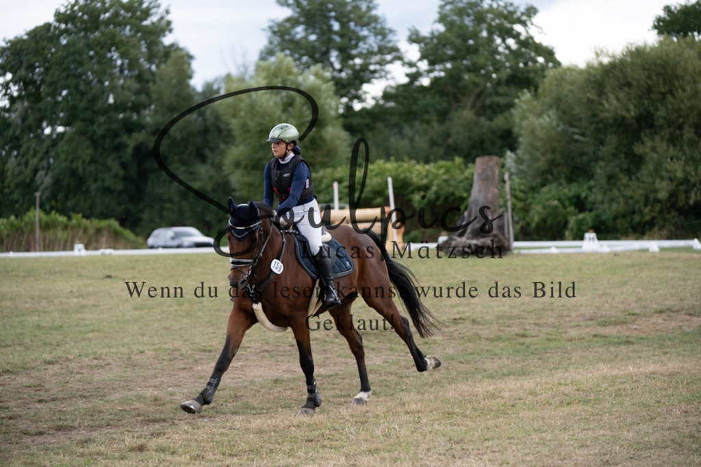 A7V01431 | Pferdefotograf