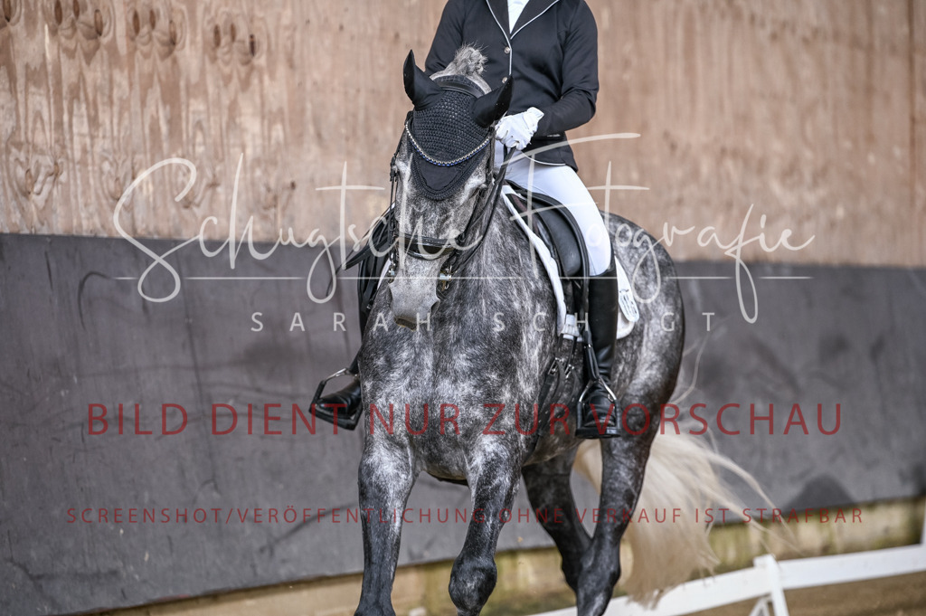 Schugtsche-Aluta25-57.Dressurprf.M1Kand-239 | Schugtsche Fotografie - Realizzato con Pictrs.com