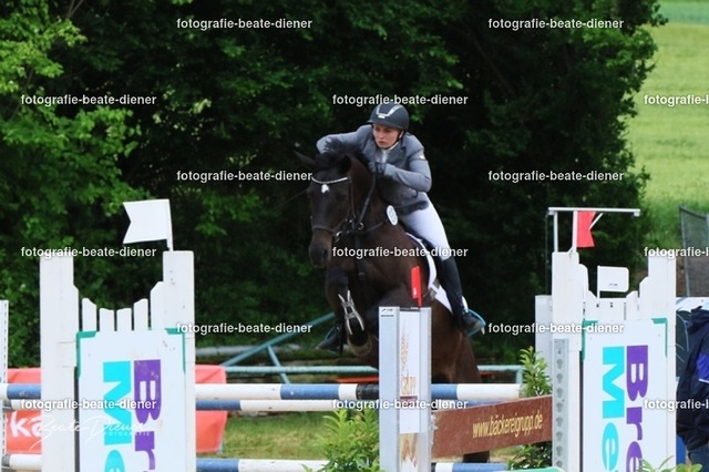 OHT2371 | Fotografie, Tiere, Hunde, Katzen, Pferde, Sportfotografie, Fotosession, Tierfotografie, Turnierfotografie, Fotografin, Fotograf - Realisiert mit Pictrs.com