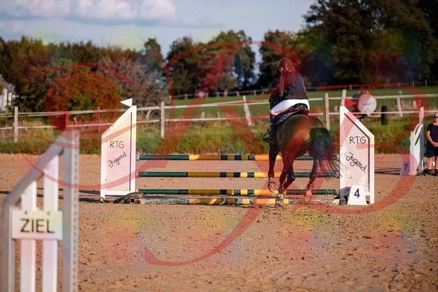 2026_10_03_Siefer-Hof_171906_Z81_17088648 | Professionelle Reitsport-, Turnier- und Eventfotografie von Robert Broda. Galerien mit ausgewählten und bearbeiteten Bildern direkt online ansehen und bestellen.