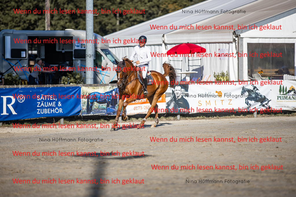 BK1A8600 | Turnierbilder Turnierfotos Nina Hüffmann Turnierfotografie Pferdefotografie Tierzeichnung Haustierzeichnung Pferdezeichnung Hundezeichnung Videograf  - Realisiert mit Pictrs.com