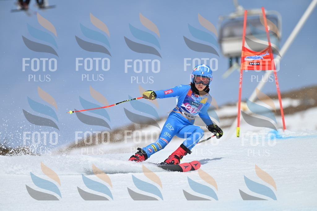 BGV_1164 | holidayphoto