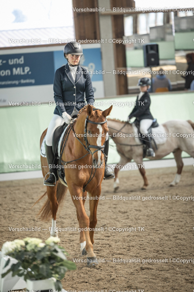 _D5A5579 | Emotionale Pferde- & People-Fotografie rund um Heidelberg, Leimen & Umgebung. Natürliche Fotos von Pferd, Mensch & Familie. Jetzt Termin sichern!