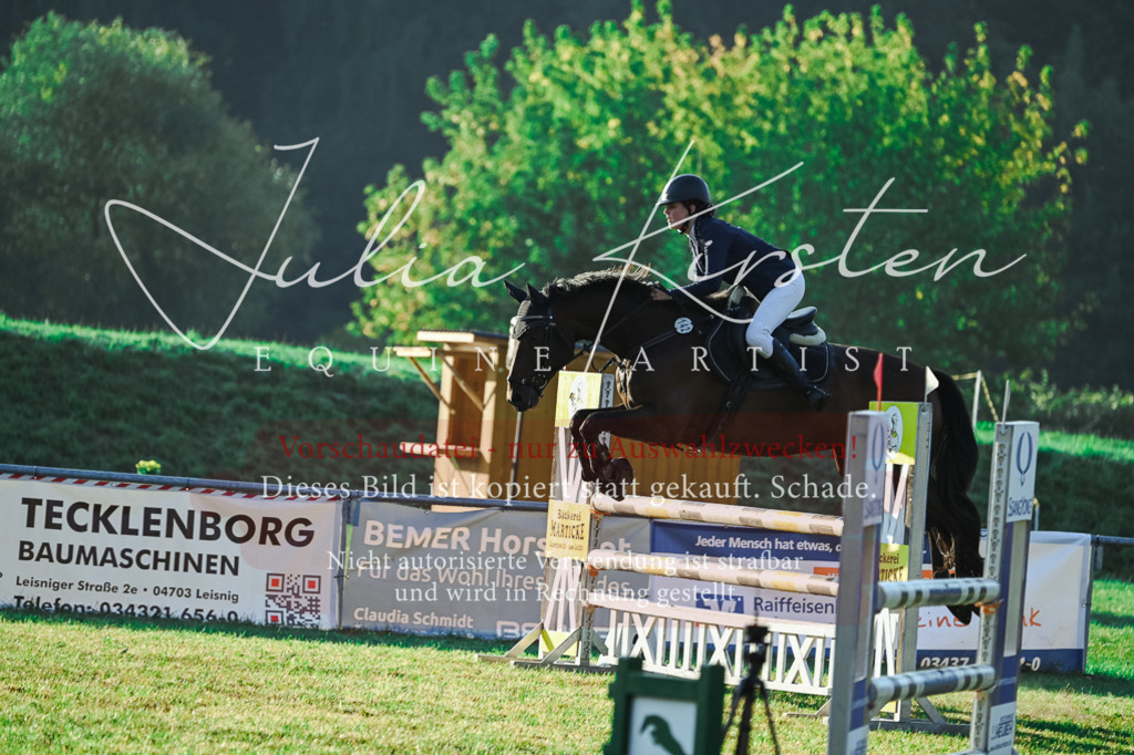 DSC_3967 | Pferde- und Turnierfotografie in Westsachsen. Pferdeportraits, Auftragszeichnungen und intuitive Kunst.