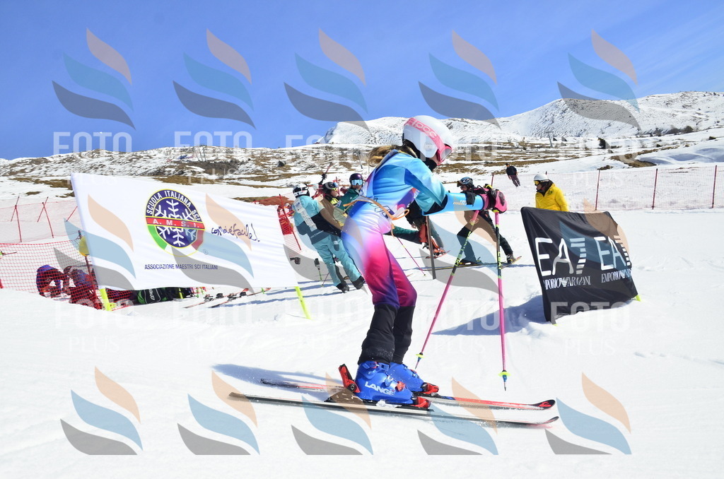 _ELE0354 | holidayphoto