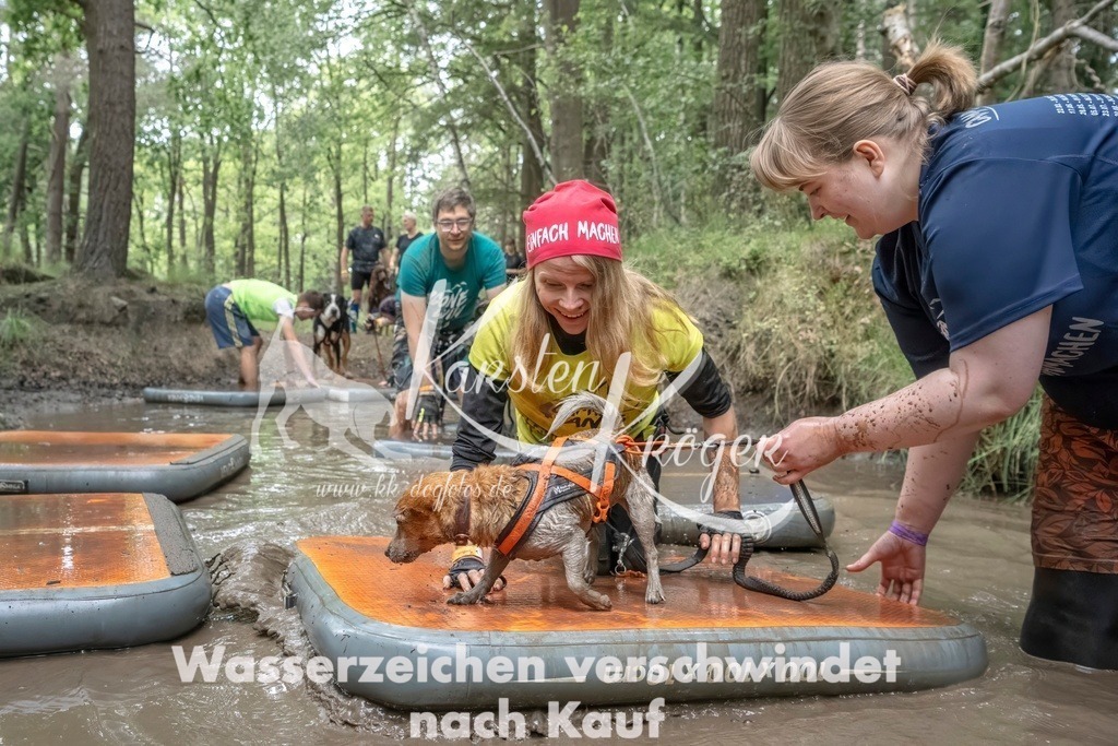 1208_ZZ97197T | kk-dogfotos