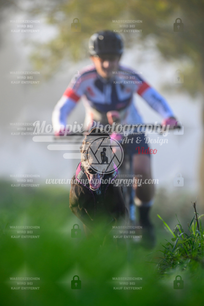 MompixPhotography_20TSB_E3_Bike-44 | PayLife