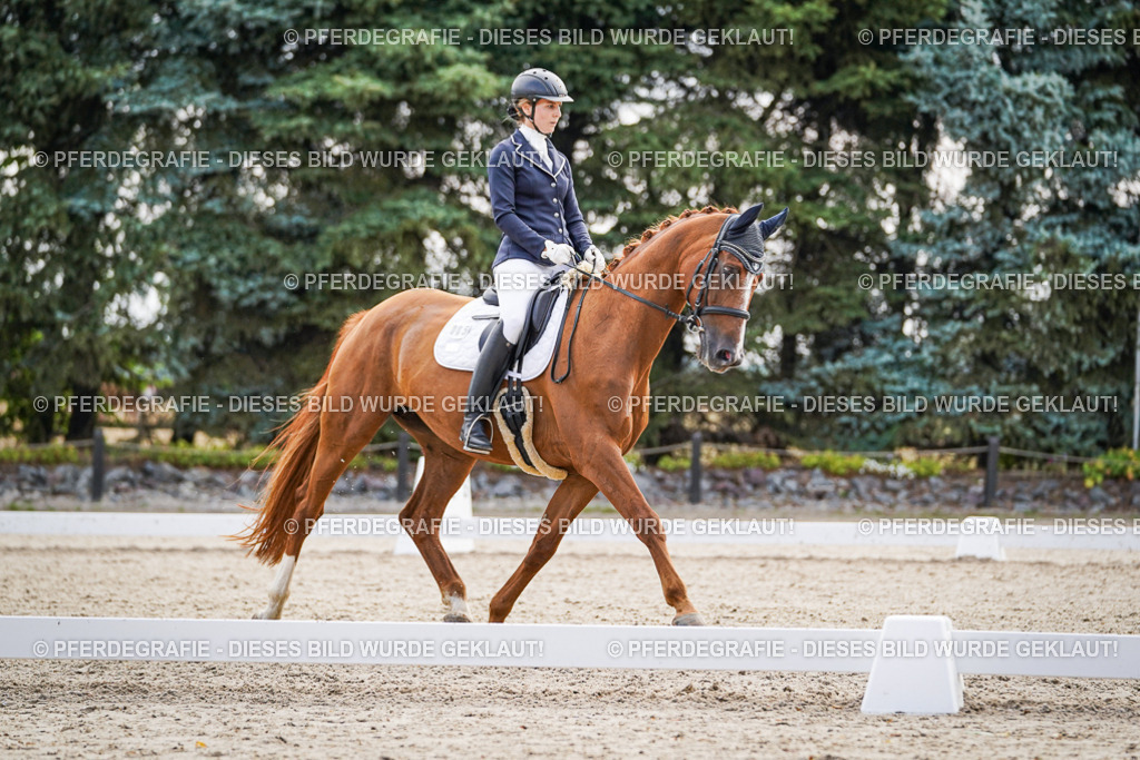 DSC00591 | Pferdegrafie