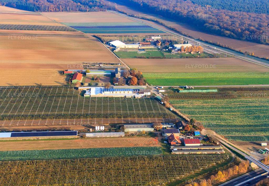 Luftbild: Zapf Hofmarkt und Adamshof in Kandel im Bundesland Rheinland-Pfalz in Deutschland. Foto: IMG_46419.jpg vom 12.11.2011 durch Werner Riehm/FLY-FOTO.de
