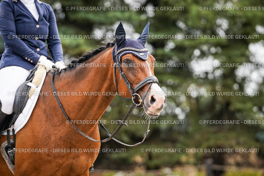 DSC02297 | Pferdegrafie