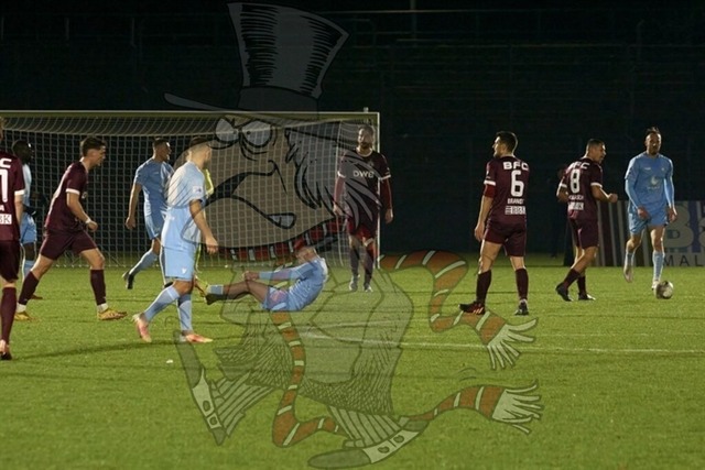 BFC Dynamo vs. FC Viktoria 89 022 | mythos-online-redaktion